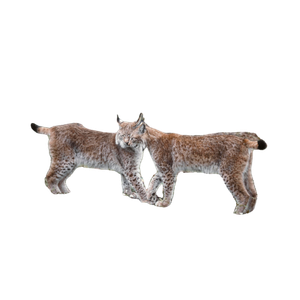Two Eurasian Lynxes Interacting In A Meadow In Feldkirch, Austria. 14266 - Cat PNG image with transparent background